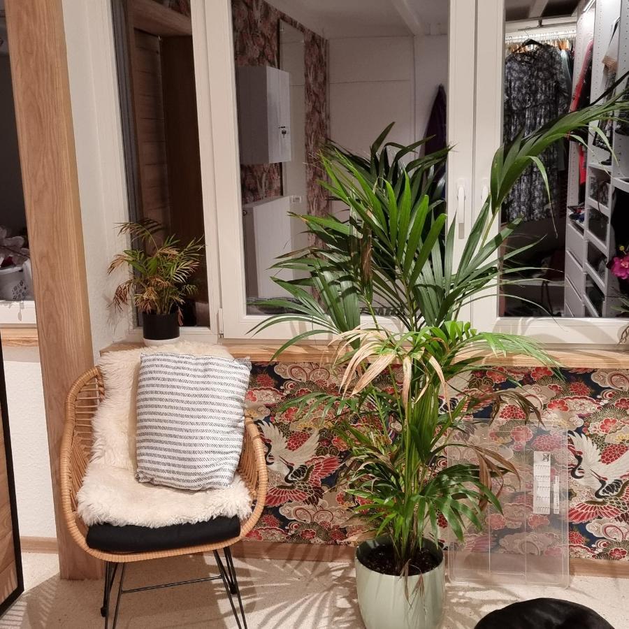 Exklusive Ferienwohnung Hattorfer Teiche Wolfsburg Exteriör bild