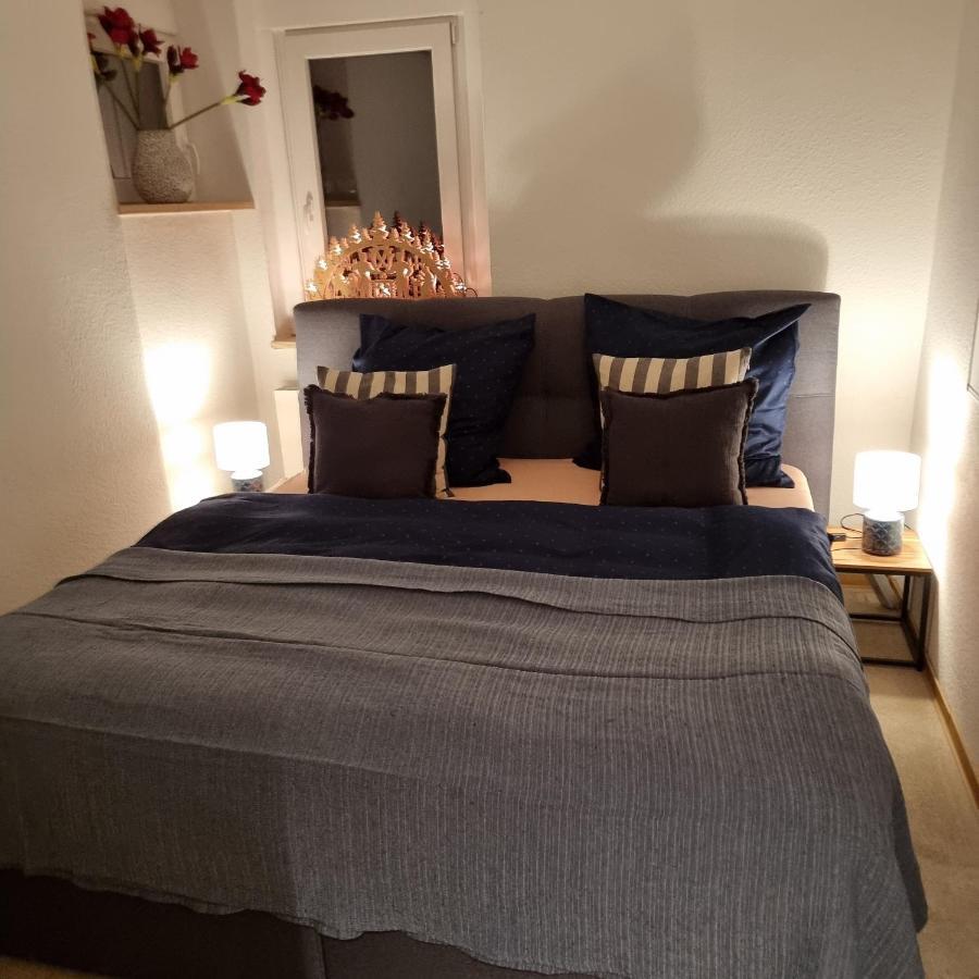 Exklusive Ferienwohnung Hattorfer Teiche Wolfsburg Exteriör bild