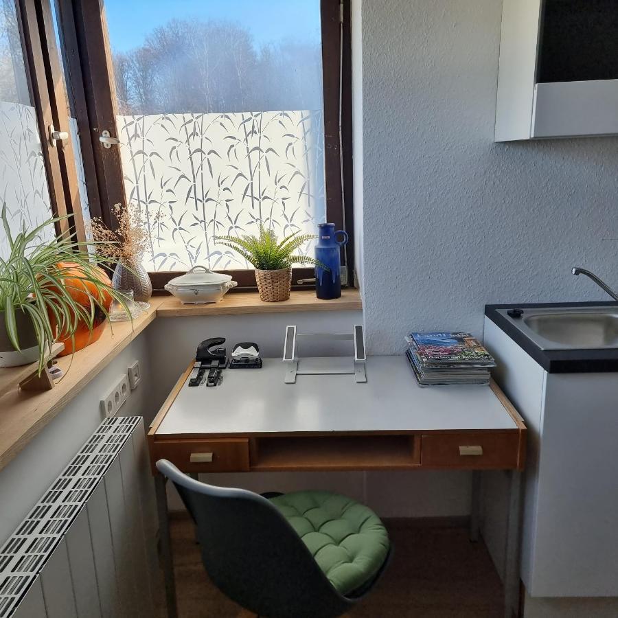 Exklusive Ferienwohnung Hattorfer Teiche Wolfsburg Exteriör bild