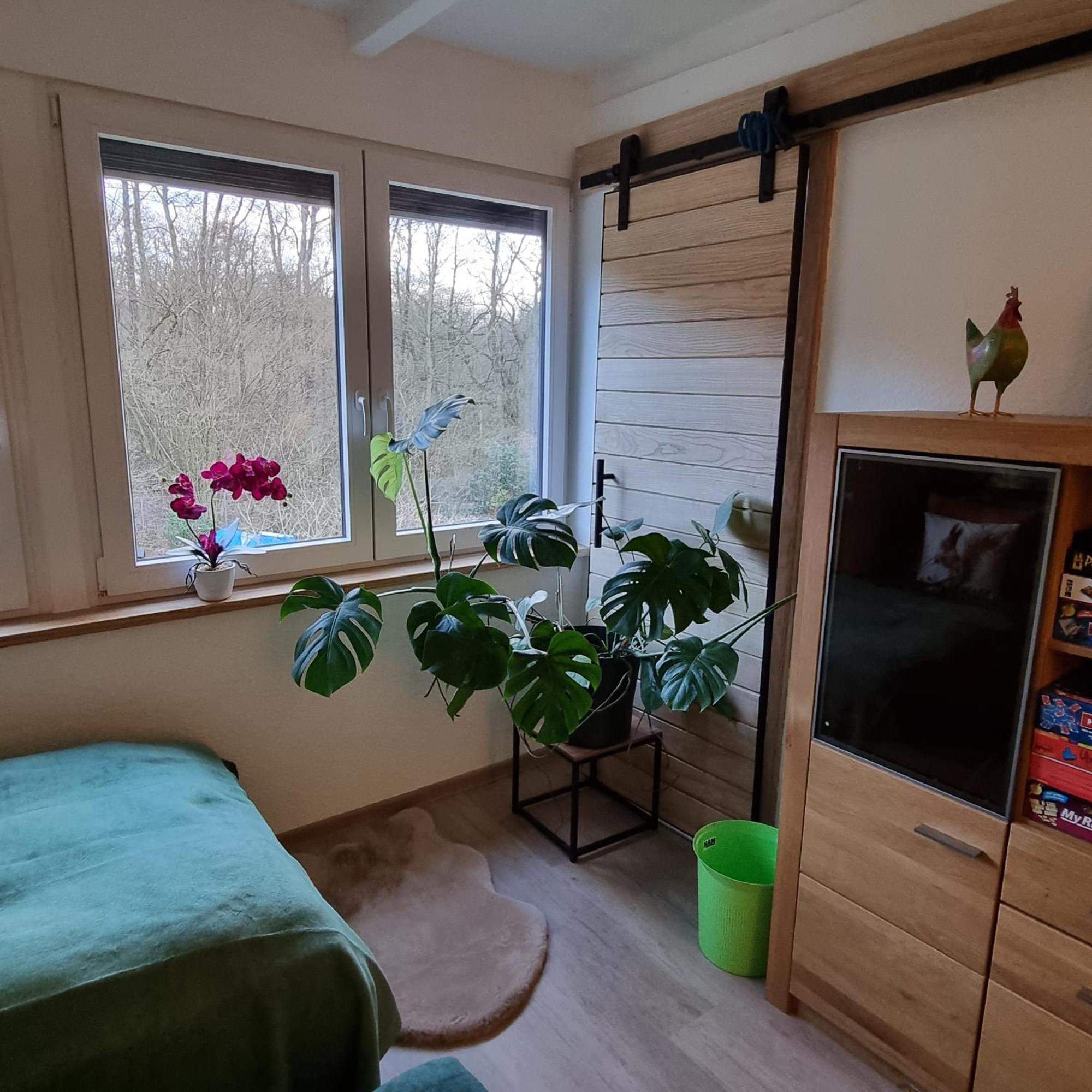 Exklusive Ferienwohnung Hattorfer Teiche Wolfsburg Rum bild